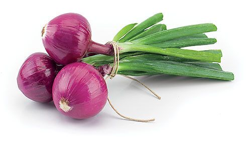 Cipolla Rossa di Tropea IGP